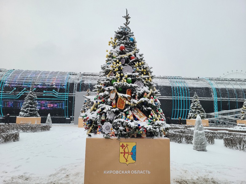 В Москве установлена новогодняя ёлка от Кировской области