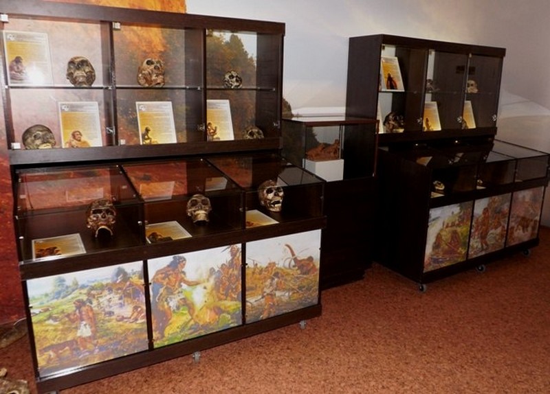 В музее Кировской области выставят черепа предков человека