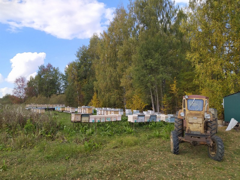 Мёд жителя Кировской области признан лучшим в России