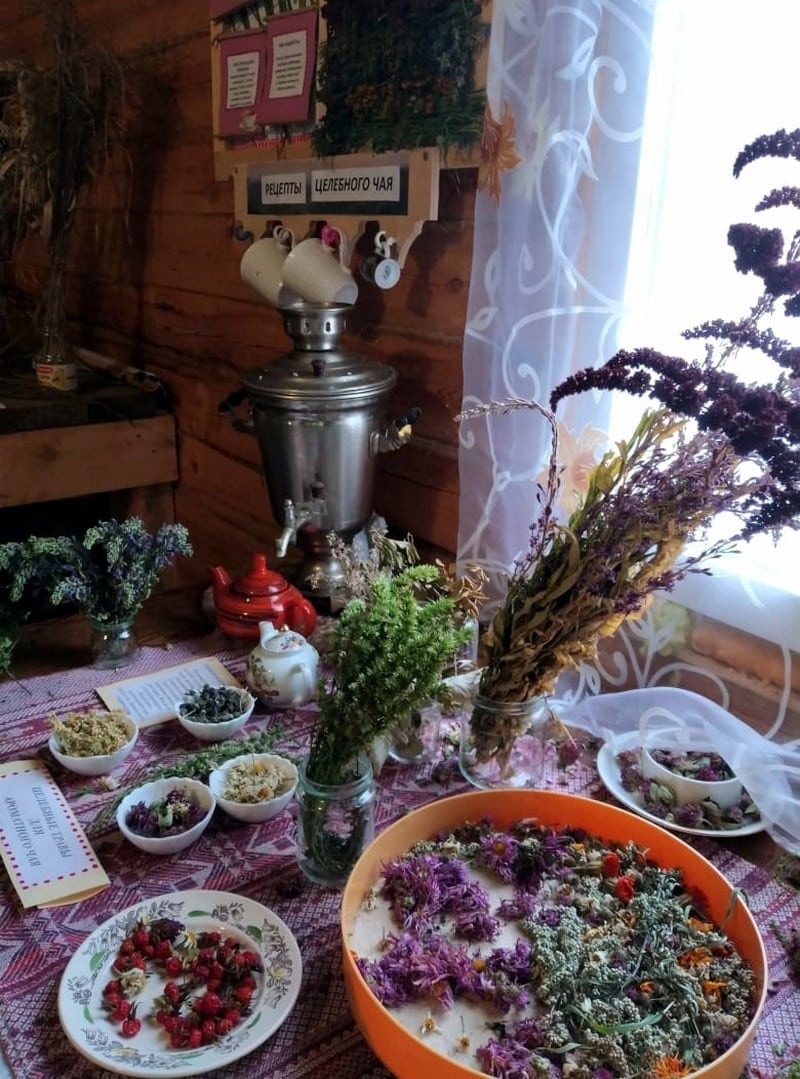 В Кировской области появился Музей лекарственных трав