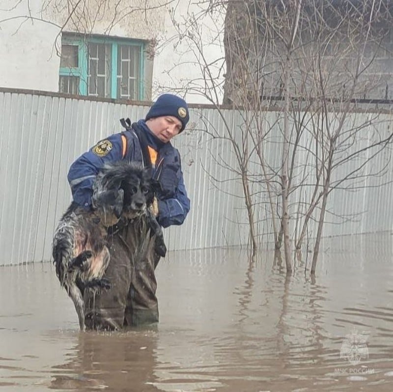 Кировские спасатели вызволили из затопленного Оренбуржья почти 300 человек