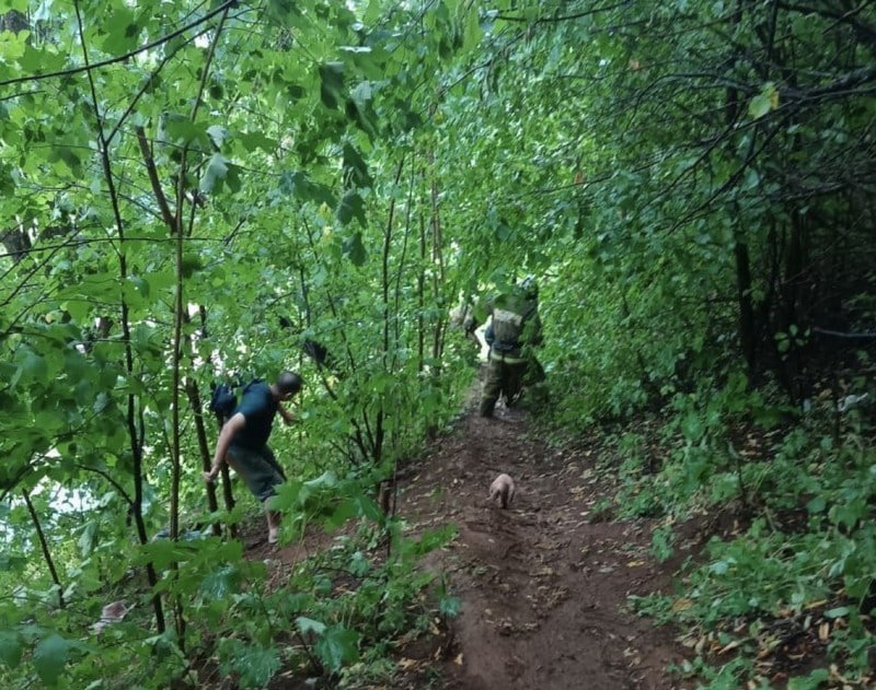 В Кировской области сотрудники МЧС спасли семью, которая забралась на крутой склон